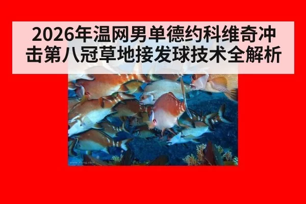 2026年温网男单德约科维奇冲击第八冠草地接发球技术全解析